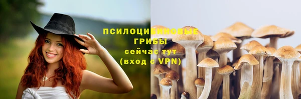 соль курить ск Ельня