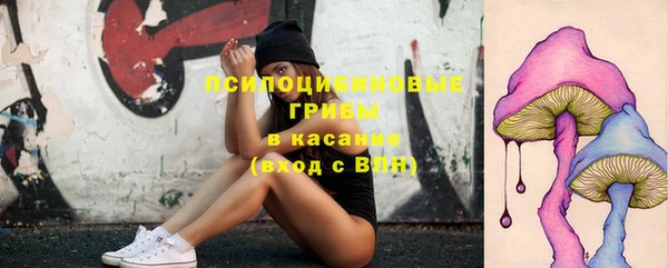 jwh Елабуга