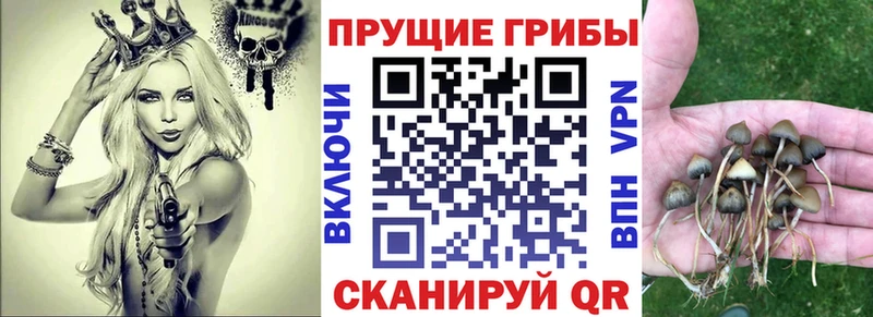 Галлюциногенные грибы Magic Shrooms  где найти наркотики  Пикалёво 